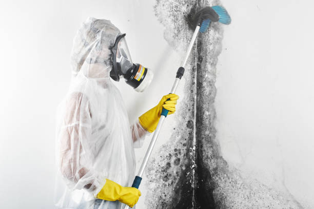 Best Forensic Mold Investigation  in Cuthbert, GA