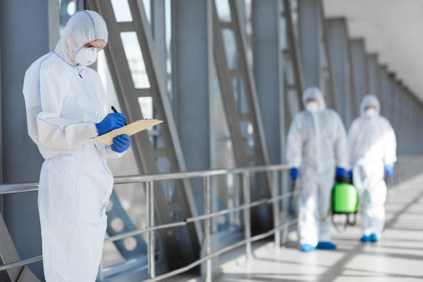 Professional Mold Removal in Cuthbert, GA