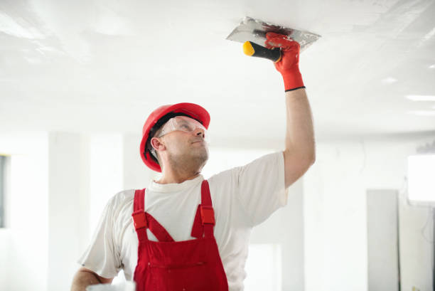 Best Mold Damage Restoration  in Cuthbert, GA