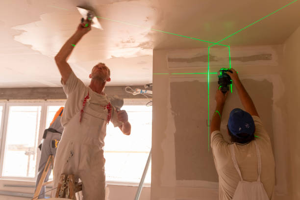 Best Attic Mold Removal  in Cuthbert, GA