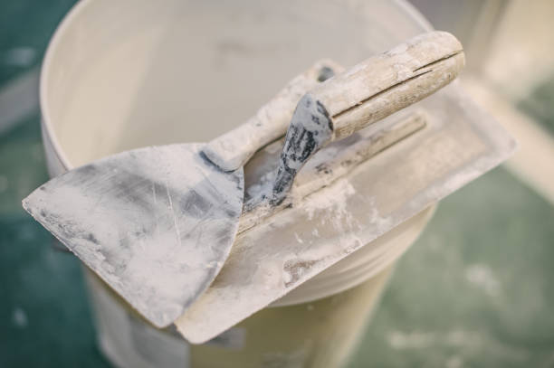 Forensic Mold Investigation in Cuthbert, GA