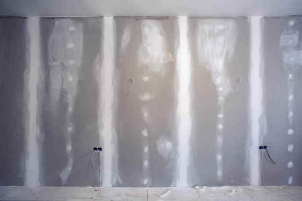 Mold Odor Removal Services in Cuthbert, GA